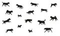 Group of dogs various breed. Black dog silhouette. Running, standing, walking, jumping dogs. Isolated on a white background. Pet Royalty Free Stock Photo