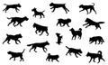 Group of dogs various breed. Black dog silhouette. Running, standing, walking, jumping dogs. Isolated on a white background. Pet Royalty Free Stock Photo