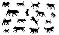 Group of dogs various breed. Black dog silhouette. Running, standing, walking, jumping dogs. Isolated on a white Royalty Free Stock Photo