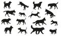 Group of dogs various breed. Black dog silhouette. Running, standing, walking, jumping dogs. Isolated on a white Royalty Free Stock Photo