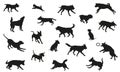 Group of dogs various breed. Black dog silhouette. Running, standing, walking, jumping and sitting dogs. Isolated on a white Royalty Free Stock Photo