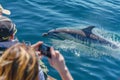 group on dolphin watching tour taking photos Royalty Free Stock Photo