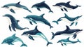 A group of dolphins swimming closely alongside each other in the ocean Royalty Free Stock Photo