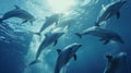 Group of Dolphins Swimming in the Ocean Royalty Free Stock Photo