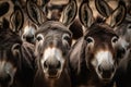 Group of donkeys close-up selfie generative ai