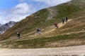 A group of downhill mountain bikers in the French Alps Royalty Free Stock Photo