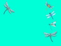 Group of dragon flays flying isolated in color background Royalty Free Stock Photo