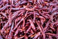 A group of dried thai chilli peppers