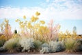 a group of droughttolerant shrubs in bloom Royalty Free Stock Photo