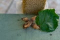 Group of dry flakes with hazelnuts next to a green hazelnut leaf Royalty Free Stock Photo