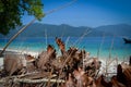 Group of dry leaves, timber and branch at the beach in Thailand.