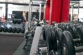 Group of dumbbells in gym