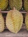 Group of durian.