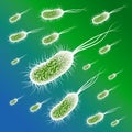 Group of the E coli Bacteries. Vector illustration Royalty Free Stock Photo