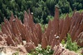 Group of Earth Pyramids in Italy