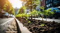 Group effort in beautifying street by planting new trees