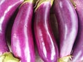 Group of Eggplant on Wooden Surface