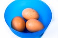 Group of eggs in blue bowl