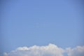 A group of egrets flying. Royalty Free Stock Photo