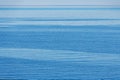 Group of eiders in the open sea near the coast during spring with horisont visible Royalty Free Stock Photo