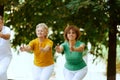 Group of elderly people, man and women training together outdoors on warm summer morning, doing exercises Royalty Free Stock Photo