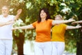 Group of elderly people, man and women training together outdoors on warm summer morning, doing exercises Royalty Free Stock Photo