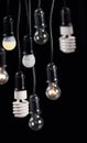 Eight electric lamps in receptacle on black