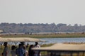 Group of elefants on island in chobe river in Botswana. Boats full of people watching wildlife animals.