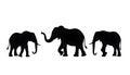 Group elephant black colour Silhouette Vector