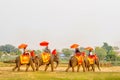 A group of elephant riding stands in front of the very old big p