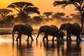 A group of elephants drinking water from lake in the forest