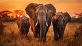 A group of Elephants grazing on lush green grasslands