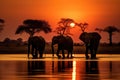 A group of elephants making their way across a water body, The silhouette of elephants at sunset in Chobe National Park, Botswana Royalty Free Stock Photo