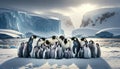 Group of Emperor Penguins on Antarctic Ice Royalty Free Stock Photo