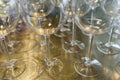 Group of empty and clean drink glasses ready for a party Royalty Free Stock Photo