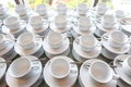 Group of empty coffee cups.Many of white cup for service tea or coffee in breakfast or buffet and seminar event. white cup in Royalty Free Stock Photo