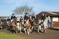 A group of english riders ready for drag hunting with hounds Royalty Free Stock Photo