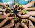 Group of environmental conservation people hands planting in aerial view