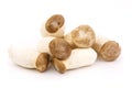 Group of Eringii mushrooom Royalty Free Stock Photo