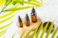 Group of essential oil bottles on wooden bases in the middle of palm leaves