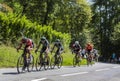 Group of Female Cyclists - La Course by Le Tour de France 2019