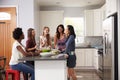 Group Of Female Friends Enjoying Pre Dinner Drinks At Home Royalty Free Stock Photo