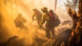 Group of firefighters in an effort to extinguish the forest fire