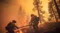 Group of firefighters in an effort to extinguish the forest fire