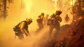 Group of firefighters in an effort to extinguish the forest fire