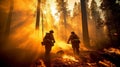 Group of firefighters in an effort to extinguish the forest fire