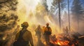 Group of firefighters in an effort to extinguish the forest fire