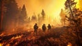 Group of firefighters in an effort to extinguish the forest fire