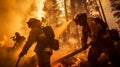 Group of firefighters in an effort to extinguish the forest fire