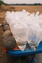 Group of fish in a box are being sold to be released in the Mekong River in Thailand